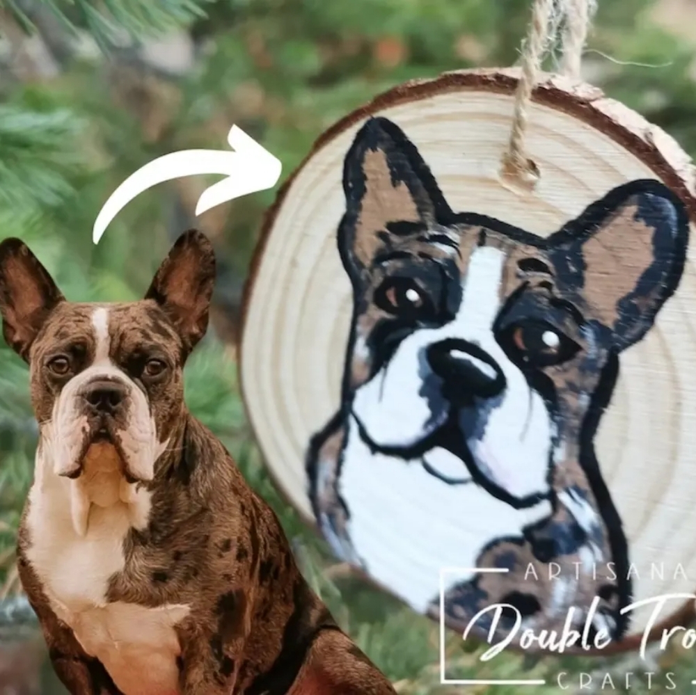 Pet portrait
